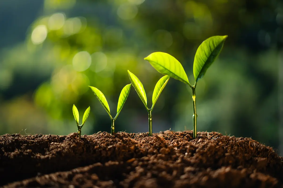 Motivation am Arbeitsplatz: Die Rolle von Vertrauen, Autonomie und moderner Führung