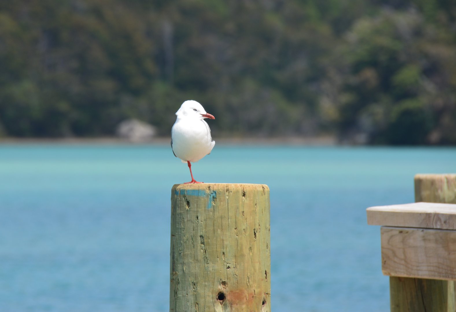 Wie kann man den Selbstwert wirklich stärken – Warum gelingt das mit psychologischer Beratung nachhaltiger