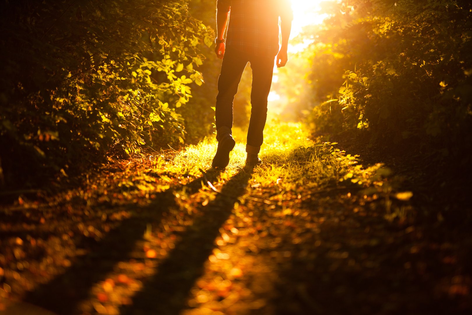Wie können Menschen sich selbst wieder spüren lernen – Warum ist dieses Thema heute so zentral