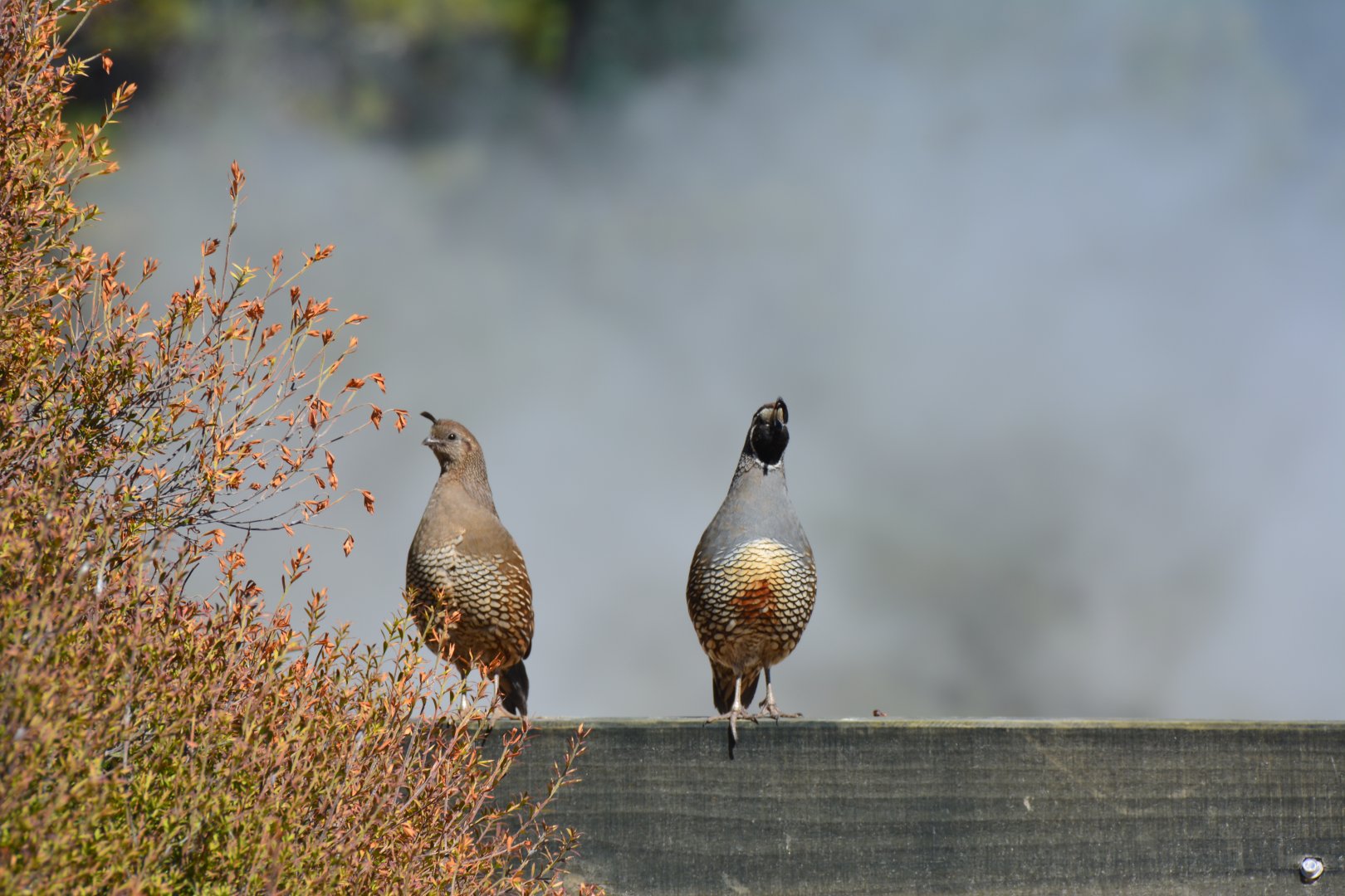 Wie beeinflussen Bindungsstile Beziehungen – Warum prägen sie auch unseren Arbeitsalltag