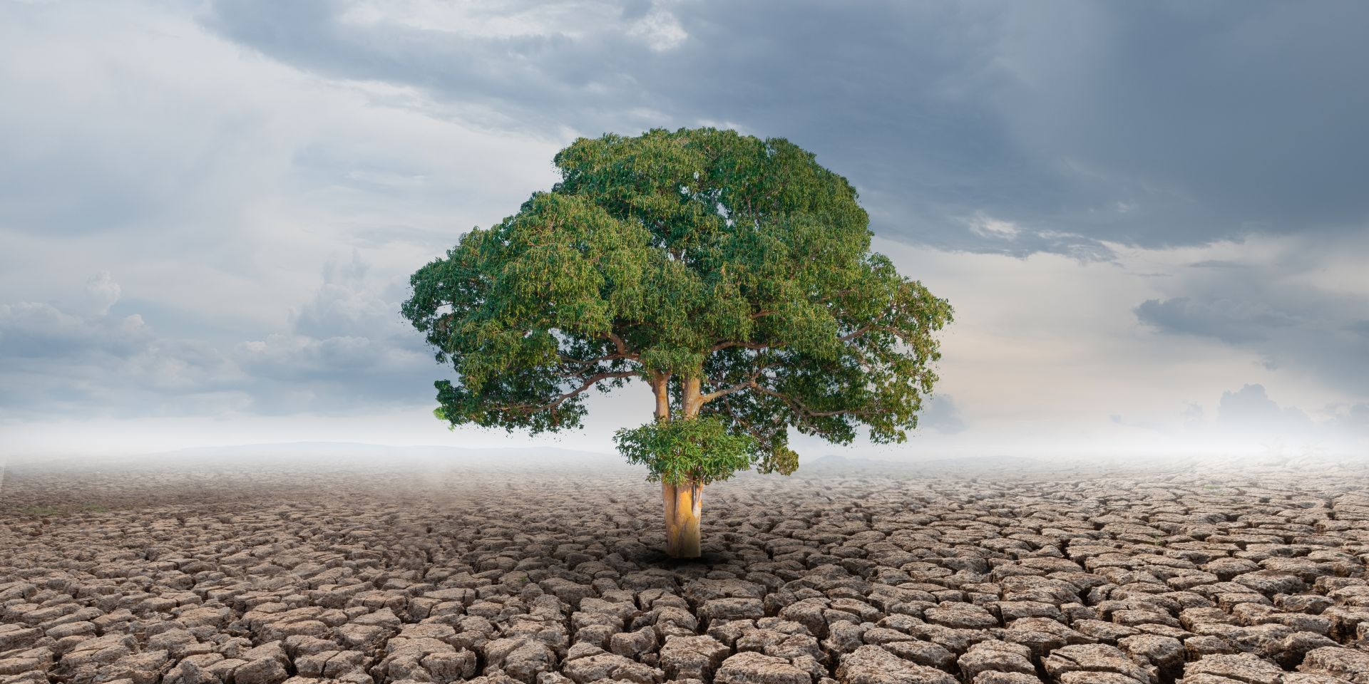 Wie können Menschen Resilienz aufbauen